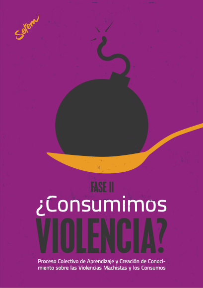 Proceso colectivo de aprendizaje y creación de conocimiento sobre las violencias machistas y los consumos. Fase 2